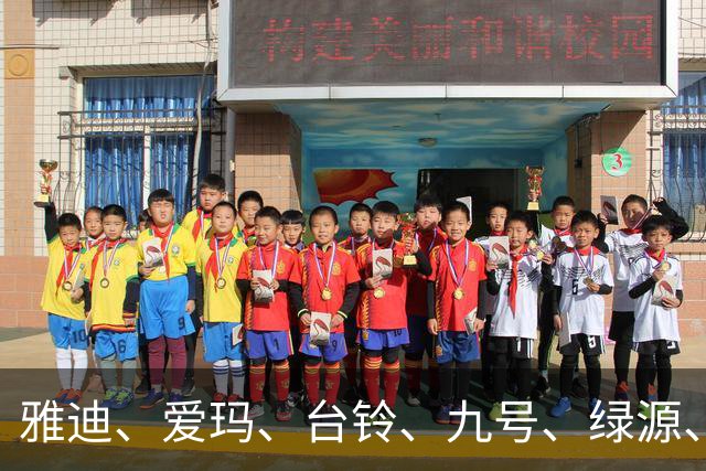 雅迪、爱玛、台铃、九号、绿源、小牛都用了哪个品牌的“大脑”？